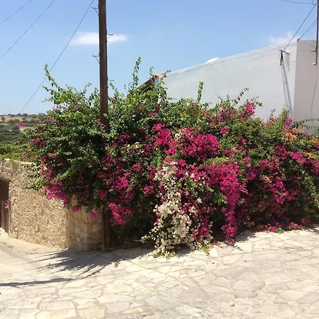 Dalla's Cyprus Retreat Maroni