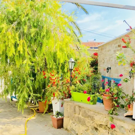Dalla's Cyprus Retreat Apartment *