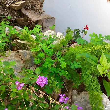 Dalla's Cyprus Retreat