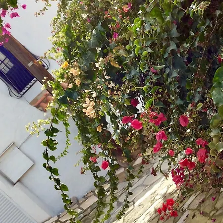 Dalla's Cyprus Retreat *