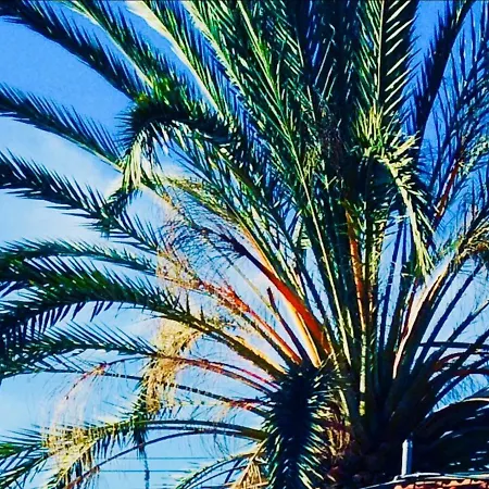 Dalla's Cyprus Retreat דירה Maroni